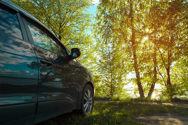 Car parked in front of trees