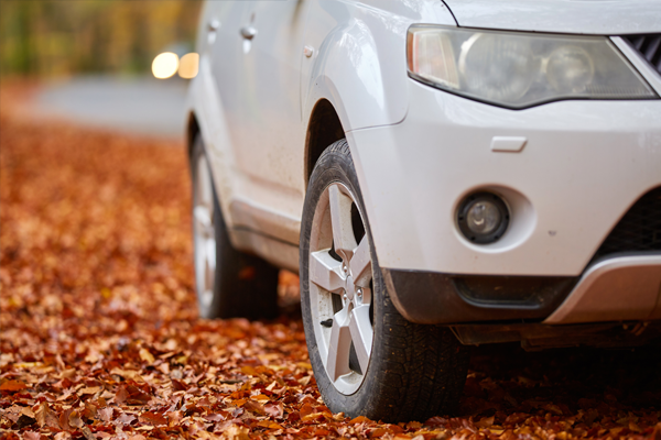 Silver car parked on leaves